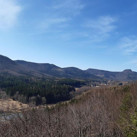Agroturystyka Tam Gdzie Sosny Scinawka Dolna Luaran gambar