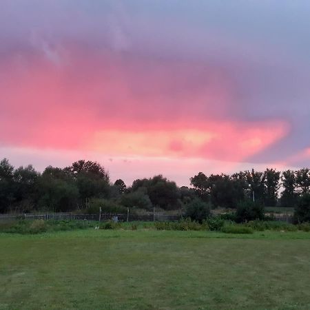 Agroturystyka Tam Gdzie Sosny Scinawka Dolna Luaran gambar