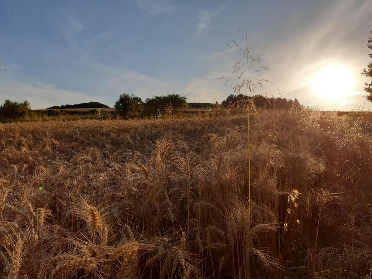 Agroturystyka Tam Gdzie Sosny Scinawka Dolna Luaran gambar