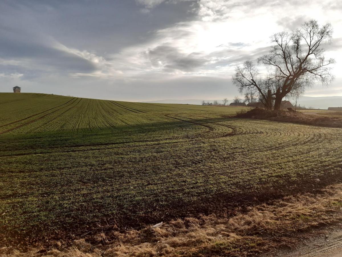 Agroturystyka Tam Gdzie Sosny Scinawka Dolna Luaran gambar