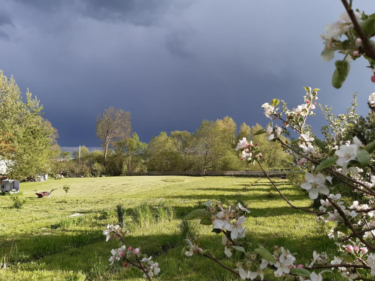 Agroturystyka Tam Gdzie Sosny Scinawka Dolna Luaran gambar