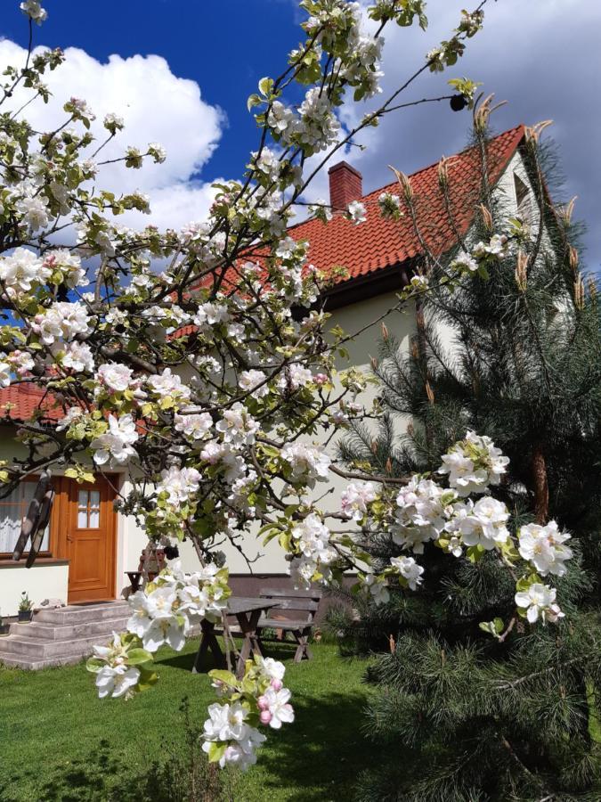 Agroturystyka Tam Gdzie Sosny Scinawka Dolna Luaran gambar
