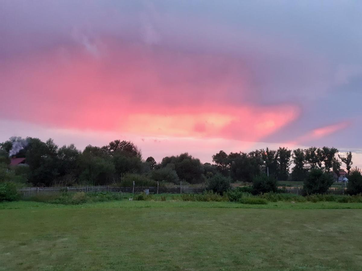 Agroturystyka Tam Gdzie Sosny Scinawka Dolna Luaran gambar